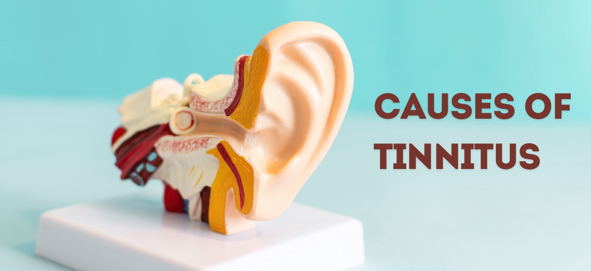Causes of Tinnitus